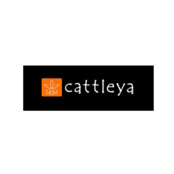 cattleya
